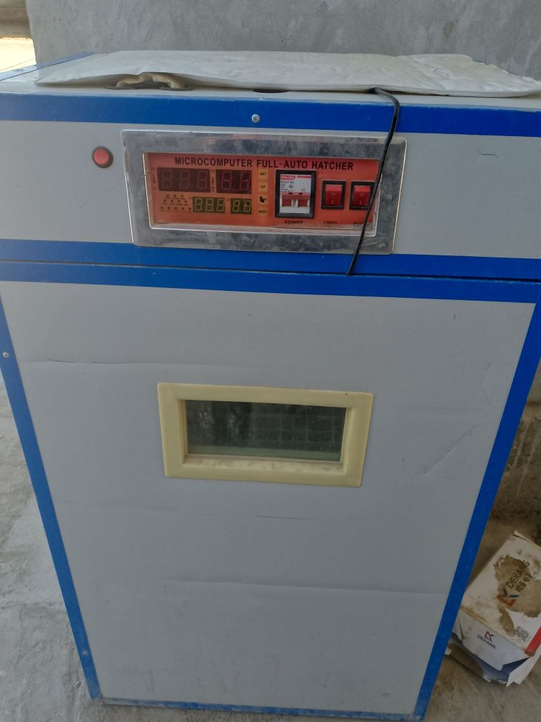 Inkubator 500 talik