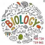 Meditatii biologie