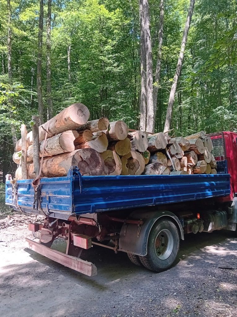 Ducem la comanda lemne de foc de esență tare cer.goron.gârnita semi us