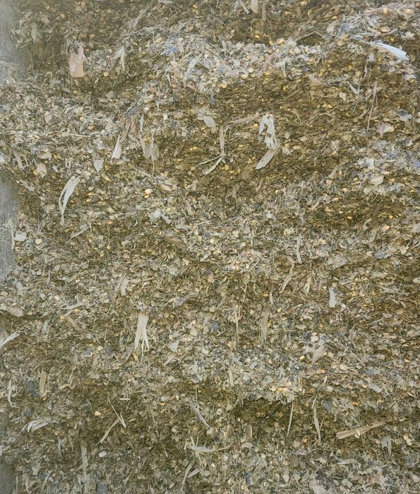 Donlik silos sotamz optm