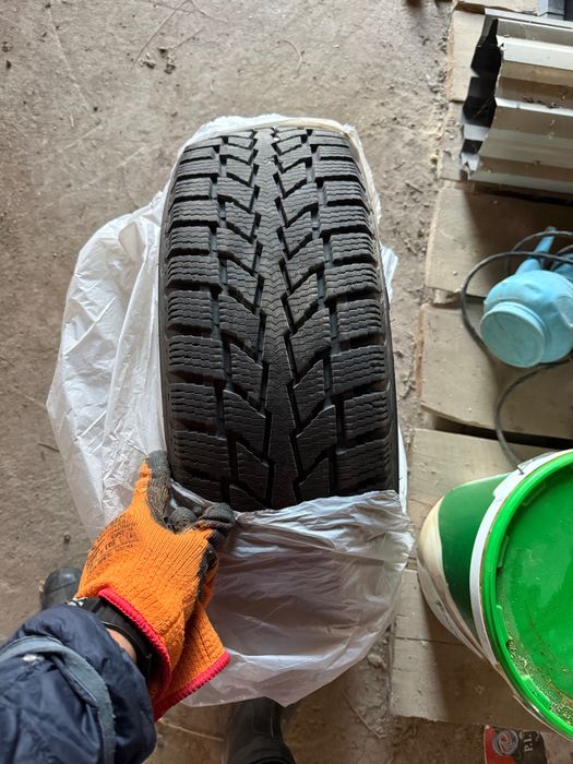 Шина зимняя один штук