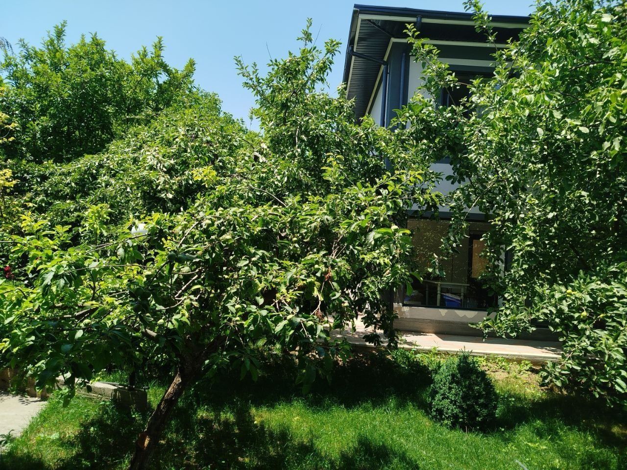 dacha yusufhona bez makler
