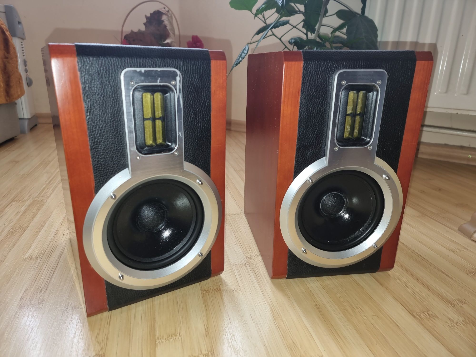 PROBA AV Boxe Philips Upgrade VIFA piele neagra MONACOR 6ohm80w