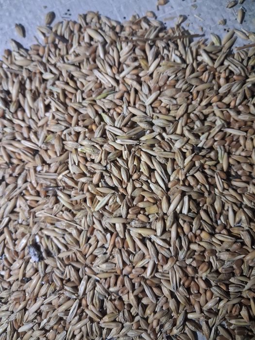 Продам Зерносмесь в мешках