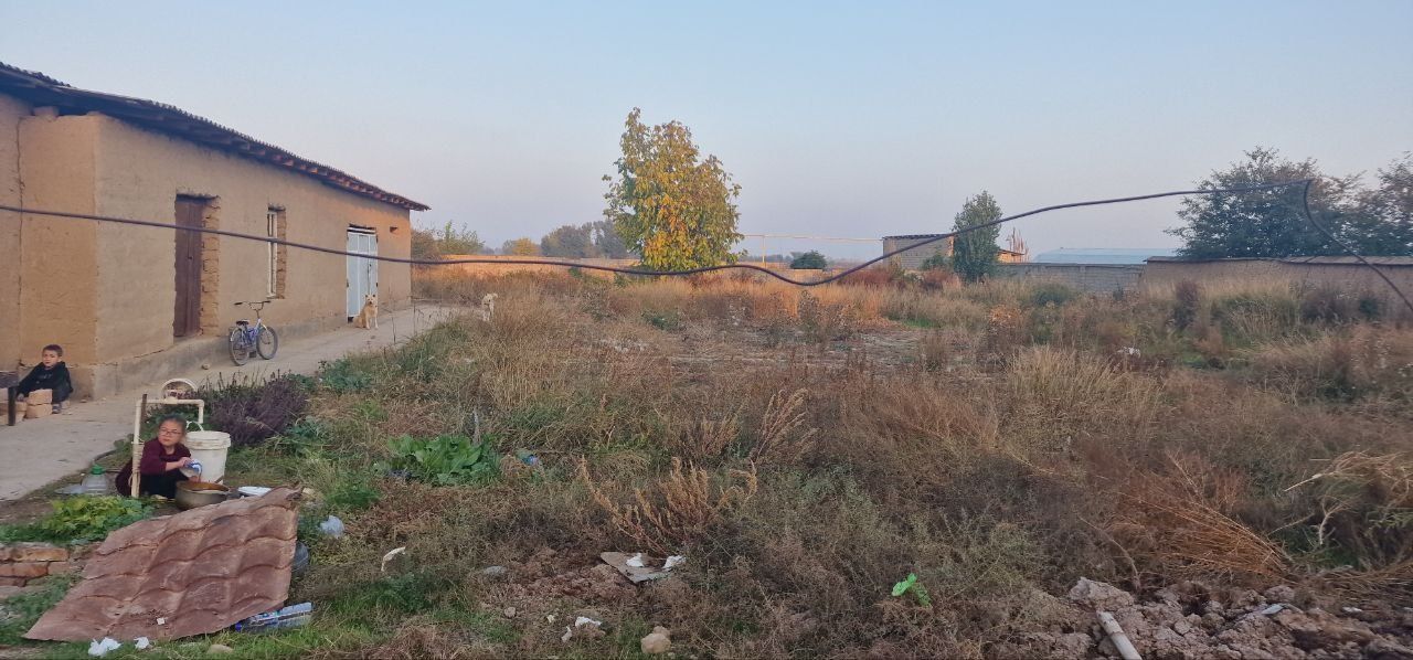 16 cotix tayyor uchastka