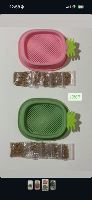 Набор для проращивания трав для кошек