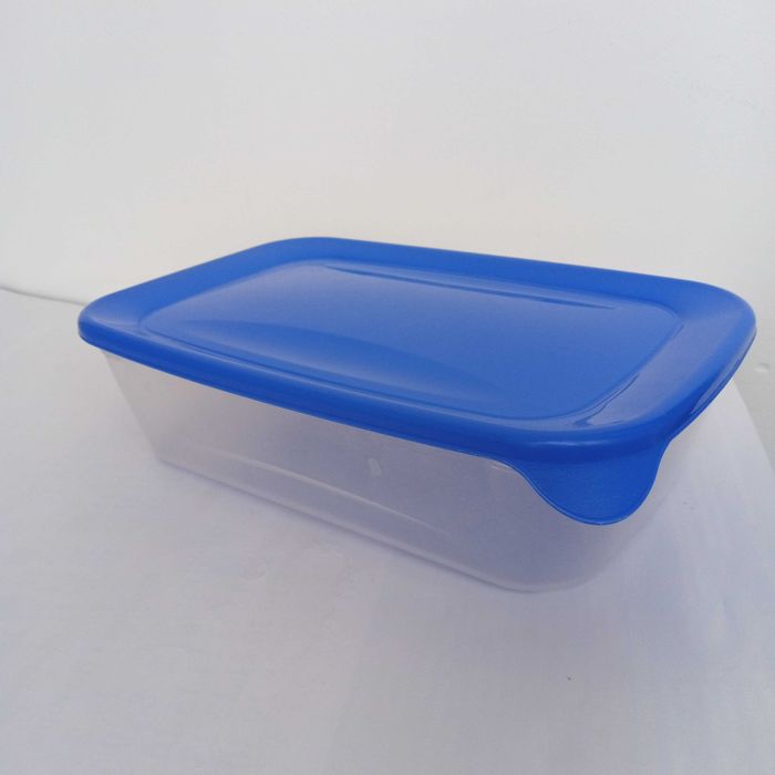 контейнер многоразовый Европа 1л для еды б/у целый дешево