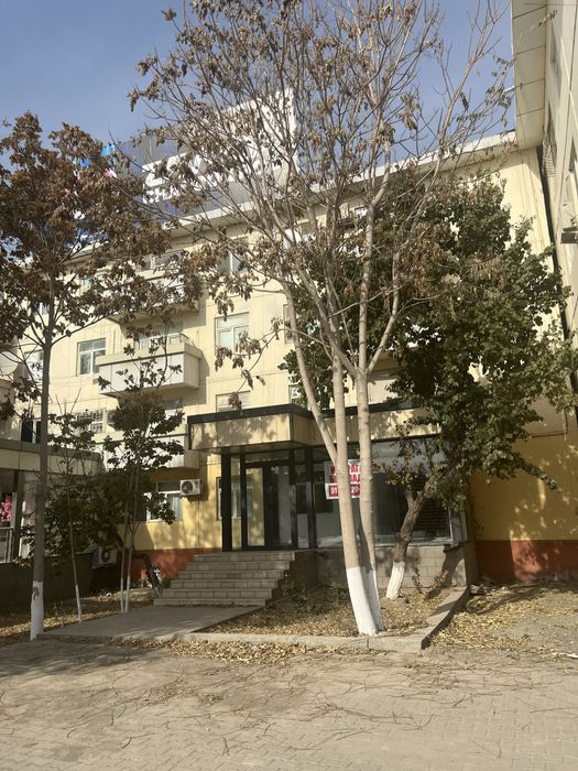 Сдаеться в аренду квартира сделанная под офис