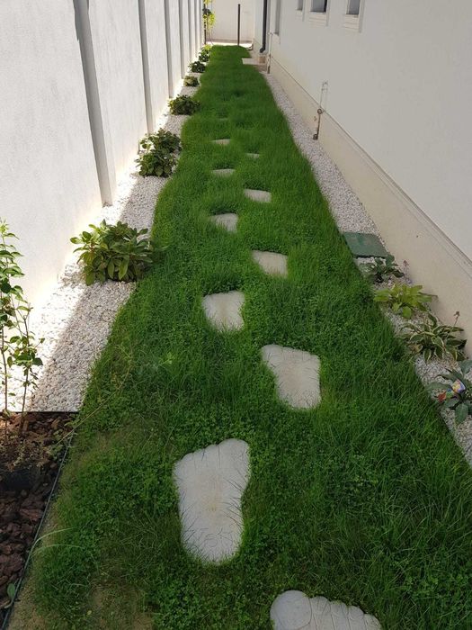 Montam pavaje, toaletam arbori, amenajam spatii verzi