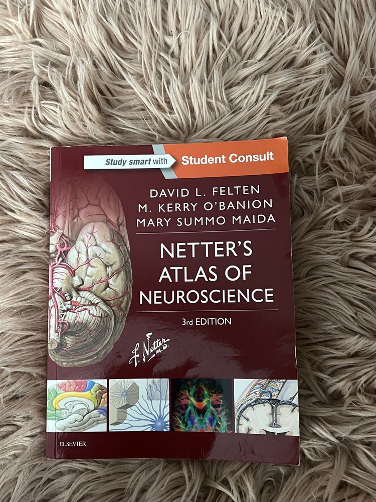 Netter’s atlas of neuroscience 3rd edition