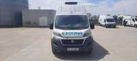 Fiat Fiat Fiat Ducato Maxi Profesinal L5/H3