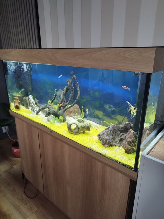 Acvariu Juwel de vânzare