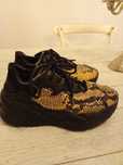 Adidas Just Cavalli