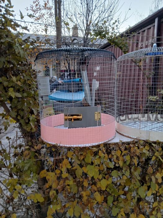 Клетки для попугаев