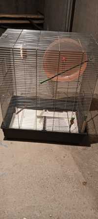 Cușcă de hamsteri