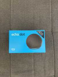 Alexa Echo Dot