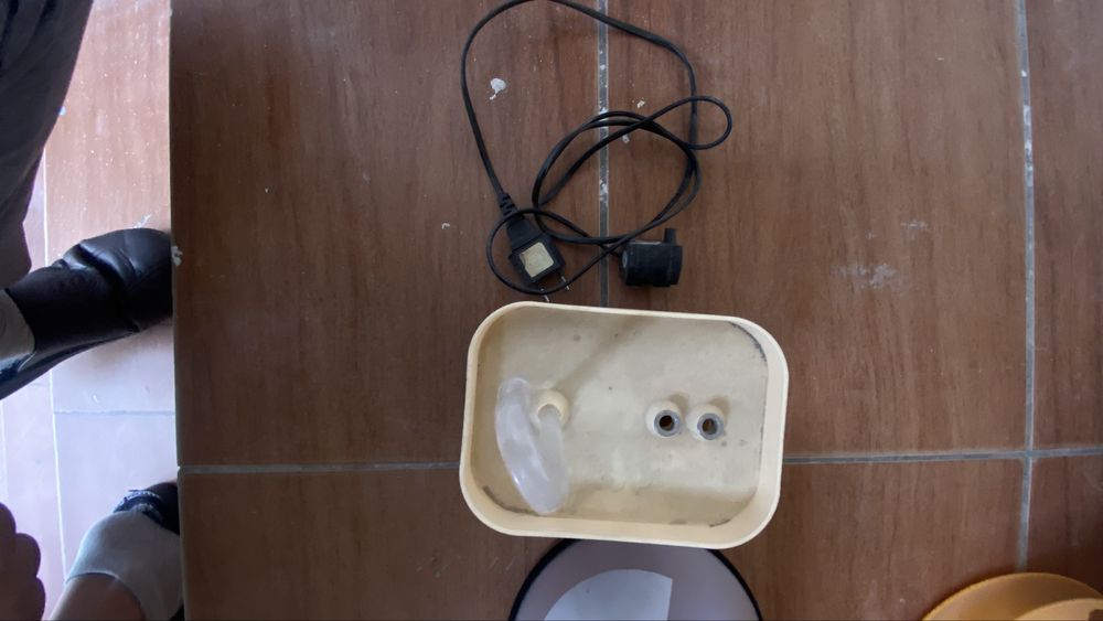 Mushular uchun mahsulotlar