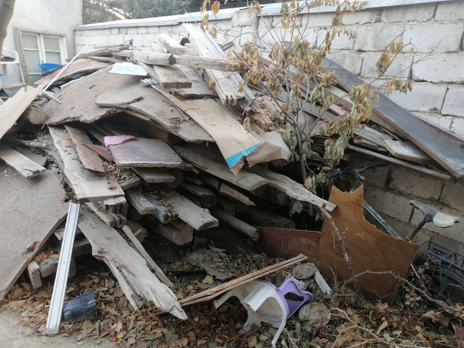 Daxta eski yogʻochlar