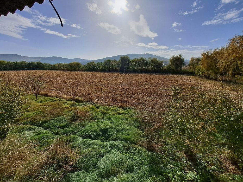 Vând teren intravilan l in suprafața 19000 mp. și hala