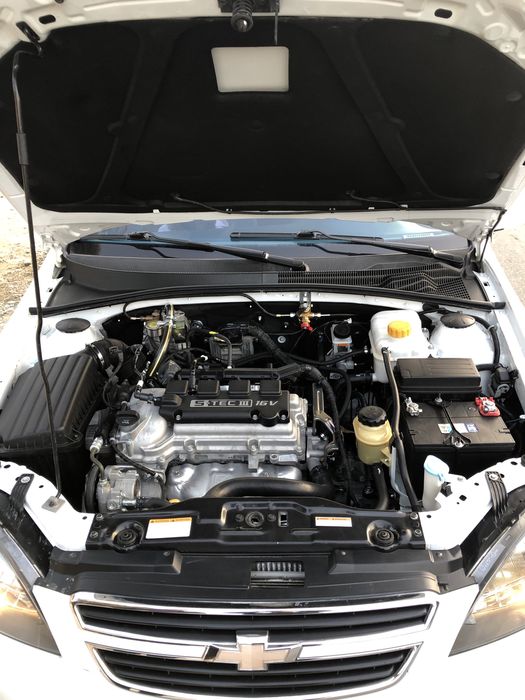 Jentra yili 2019 holati idela