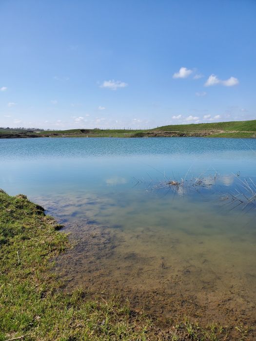 Озеро, пруд, рыбное хозяйство, земля 14га
