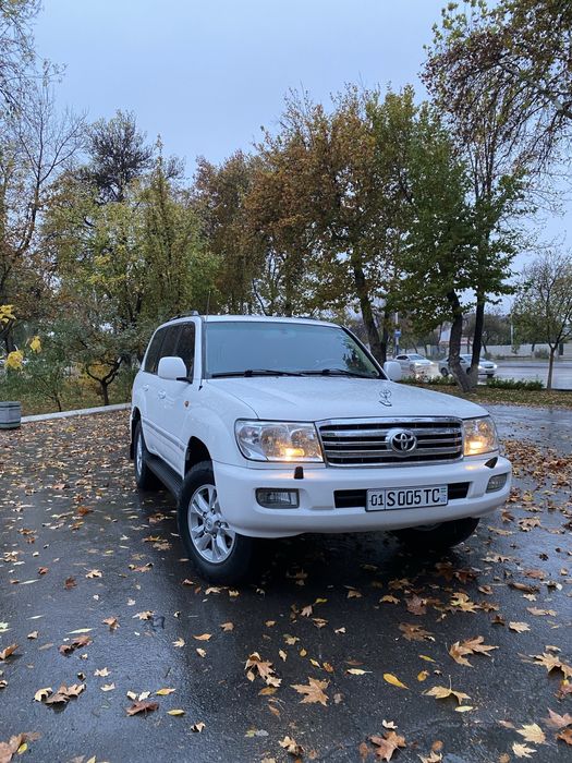 Landcruiser 100 (sotka) 470