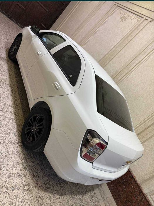 **Cobalt midnight MSM 2026 new