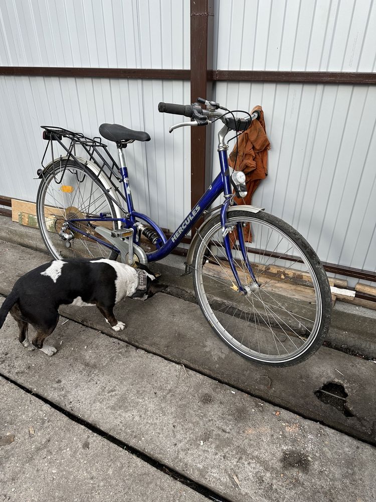 Bicicleta dama la 500 lei hercules