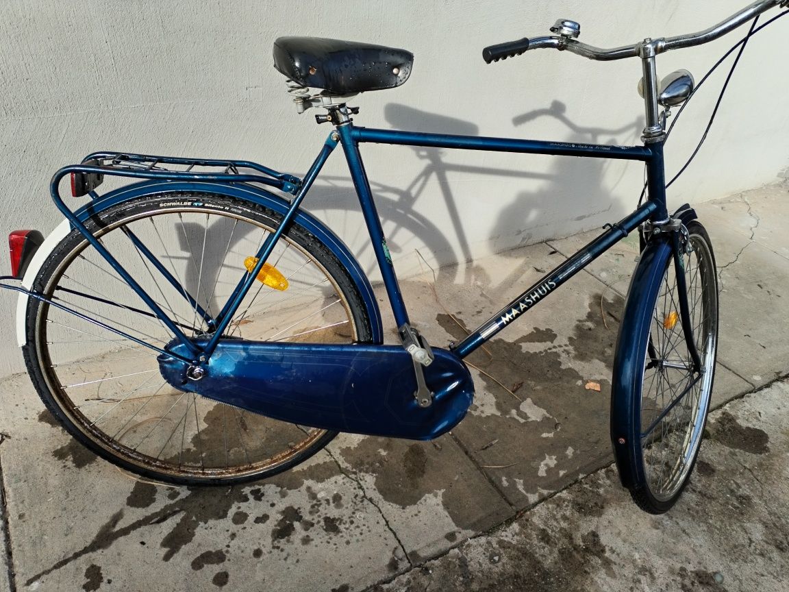 Bicicleta olandeză