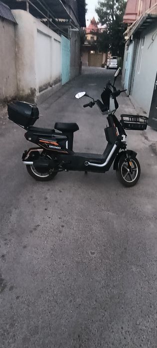 Drongo. Продается немедленно