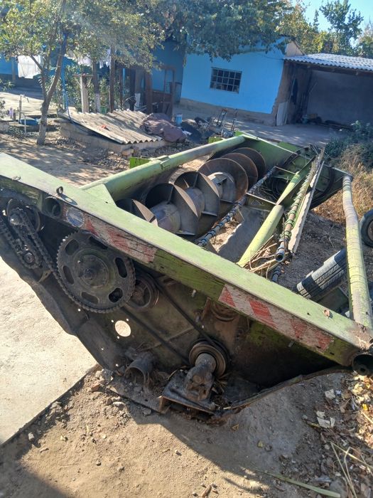 Germania 303 niki zor holati