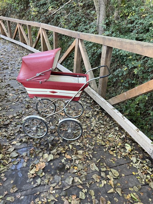 Carucior sedinte foto