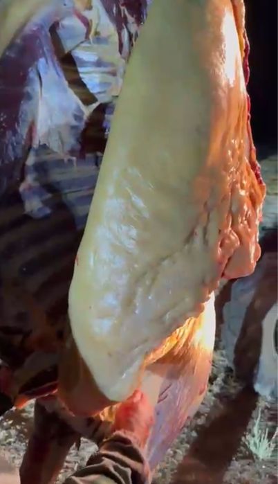 Ту биелер күйлері жақсы