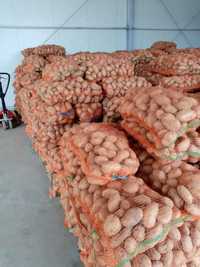 Vând cartofii de consum albi si roze
