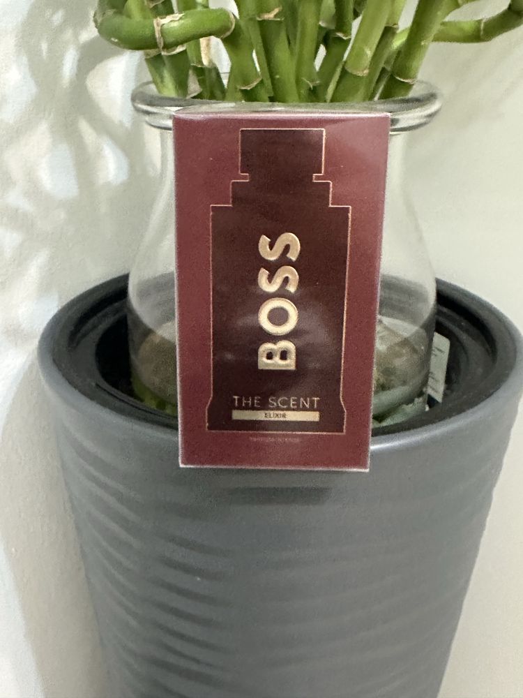 Parfumuri Boss The Scent elixir