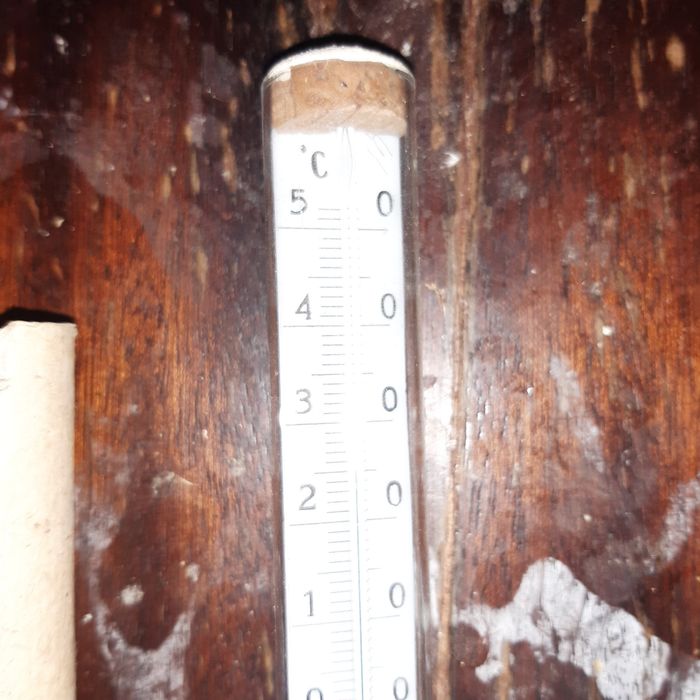 Термометр ртутный