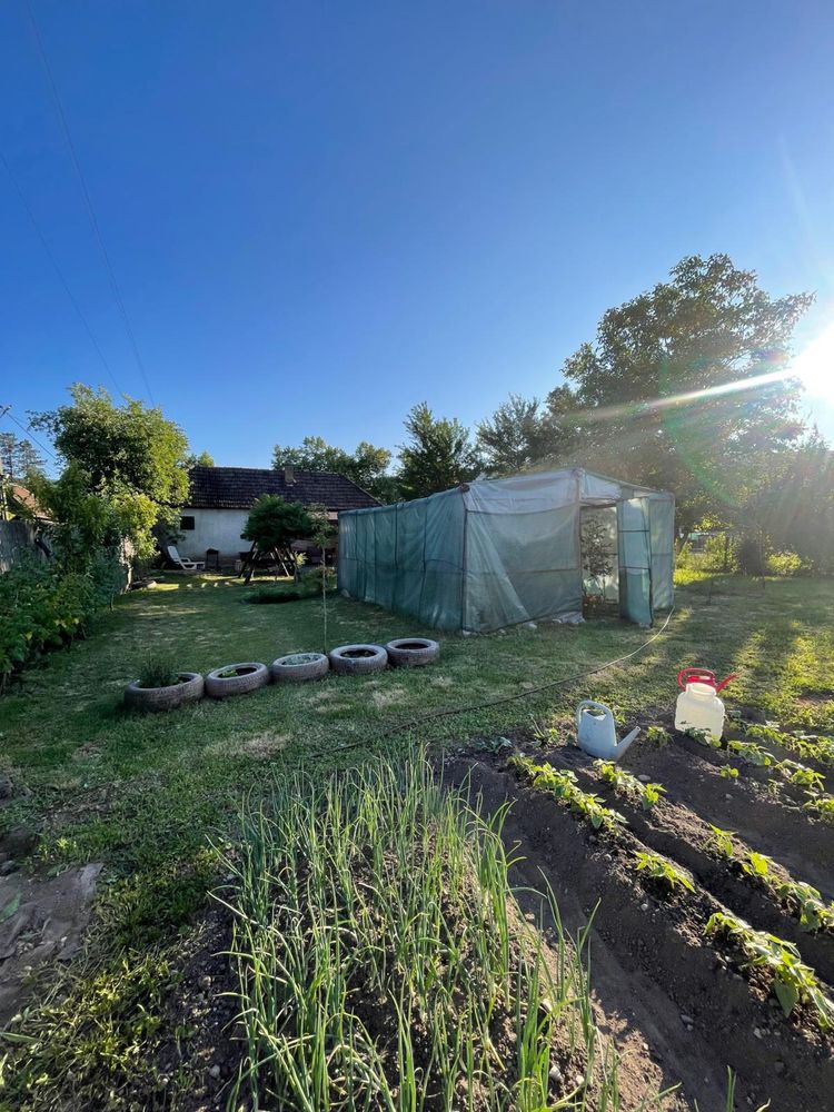Teren 9 ari+casa veche(din caramida) Șuncuiuș 35.000€ s