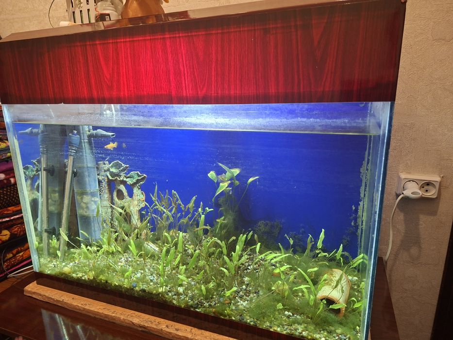 Аквариум 2 штуки со свем оборудованием