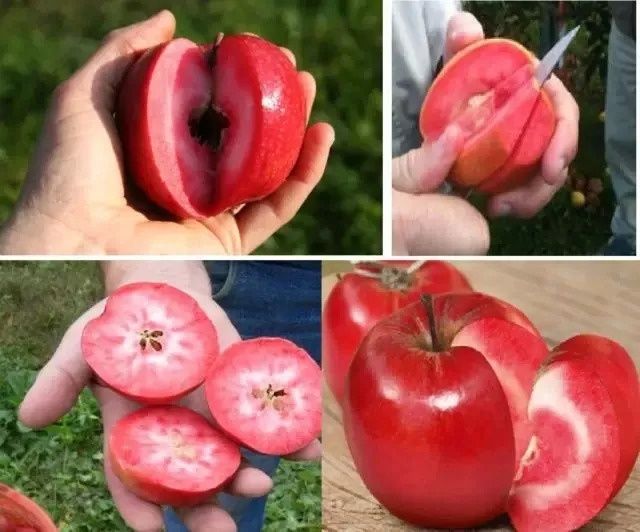 Mar Red love.                       .