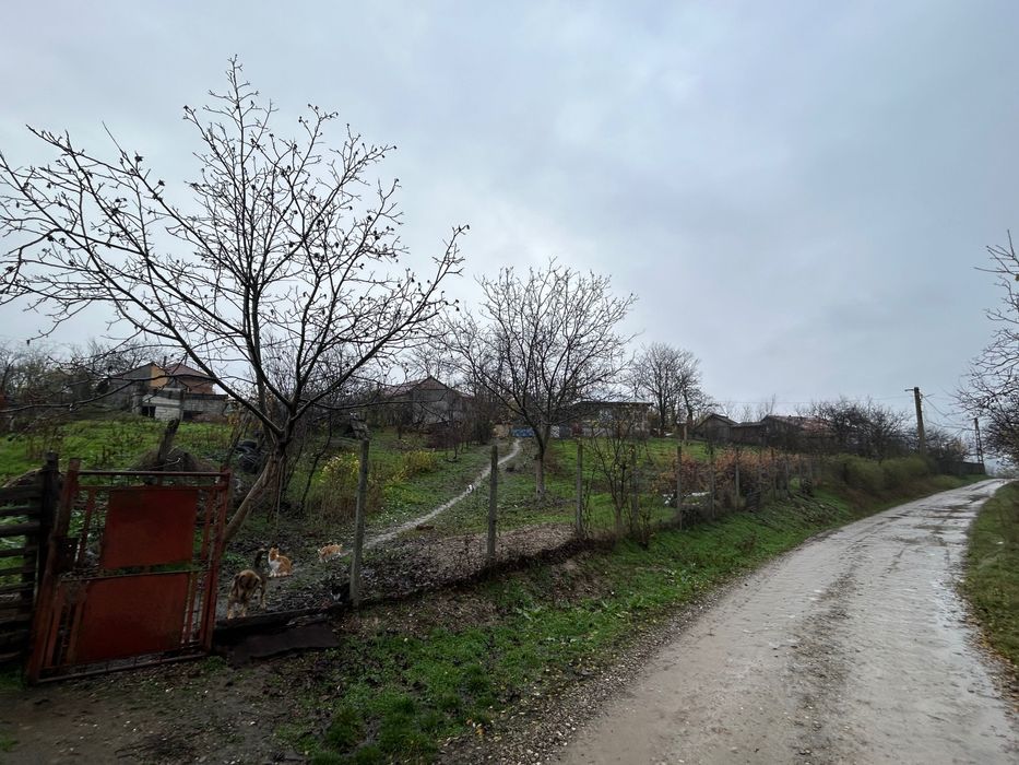 Casa de vanzare in Zarnesti(Buzau)