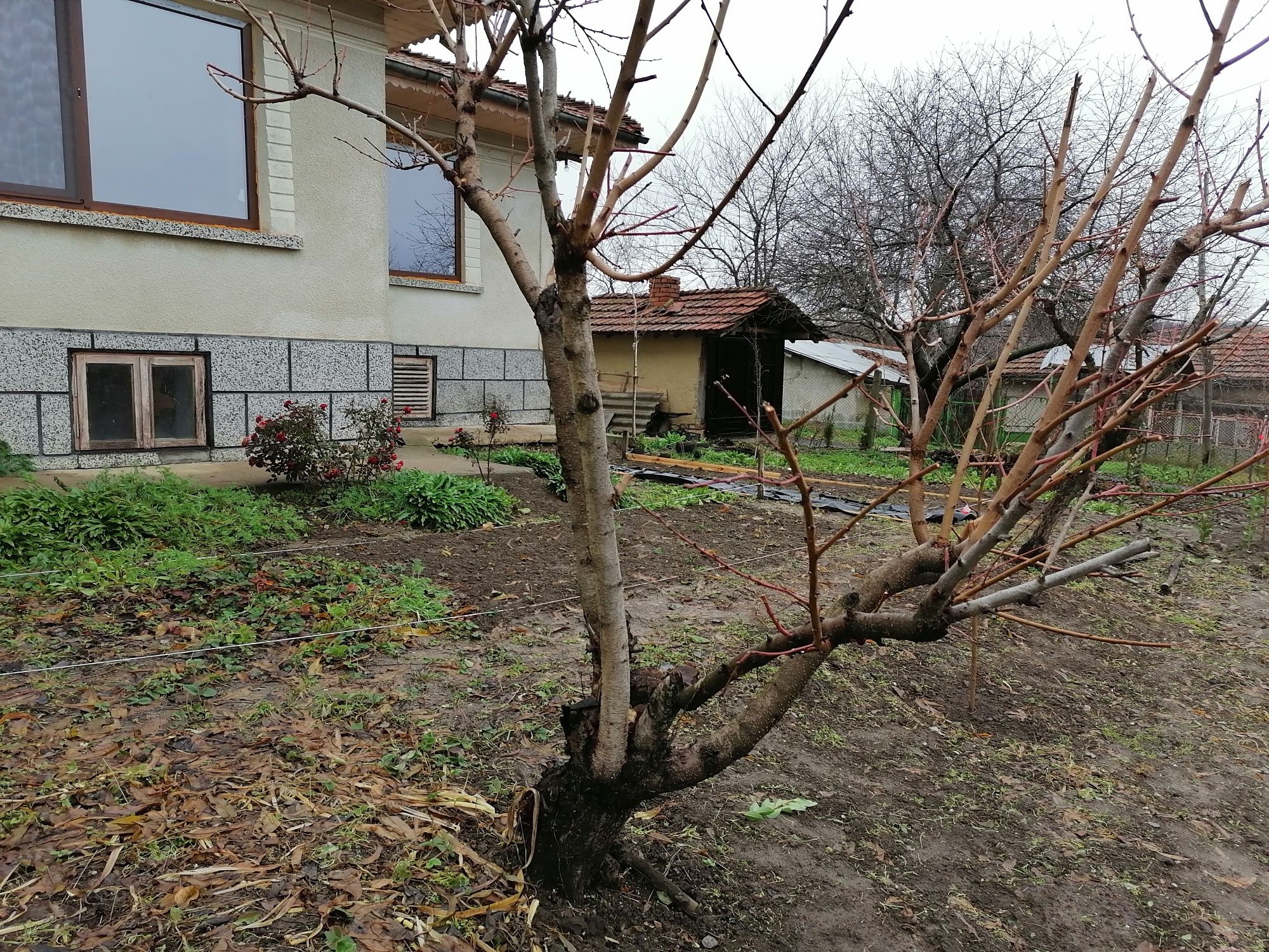 Голяма къща на две улици