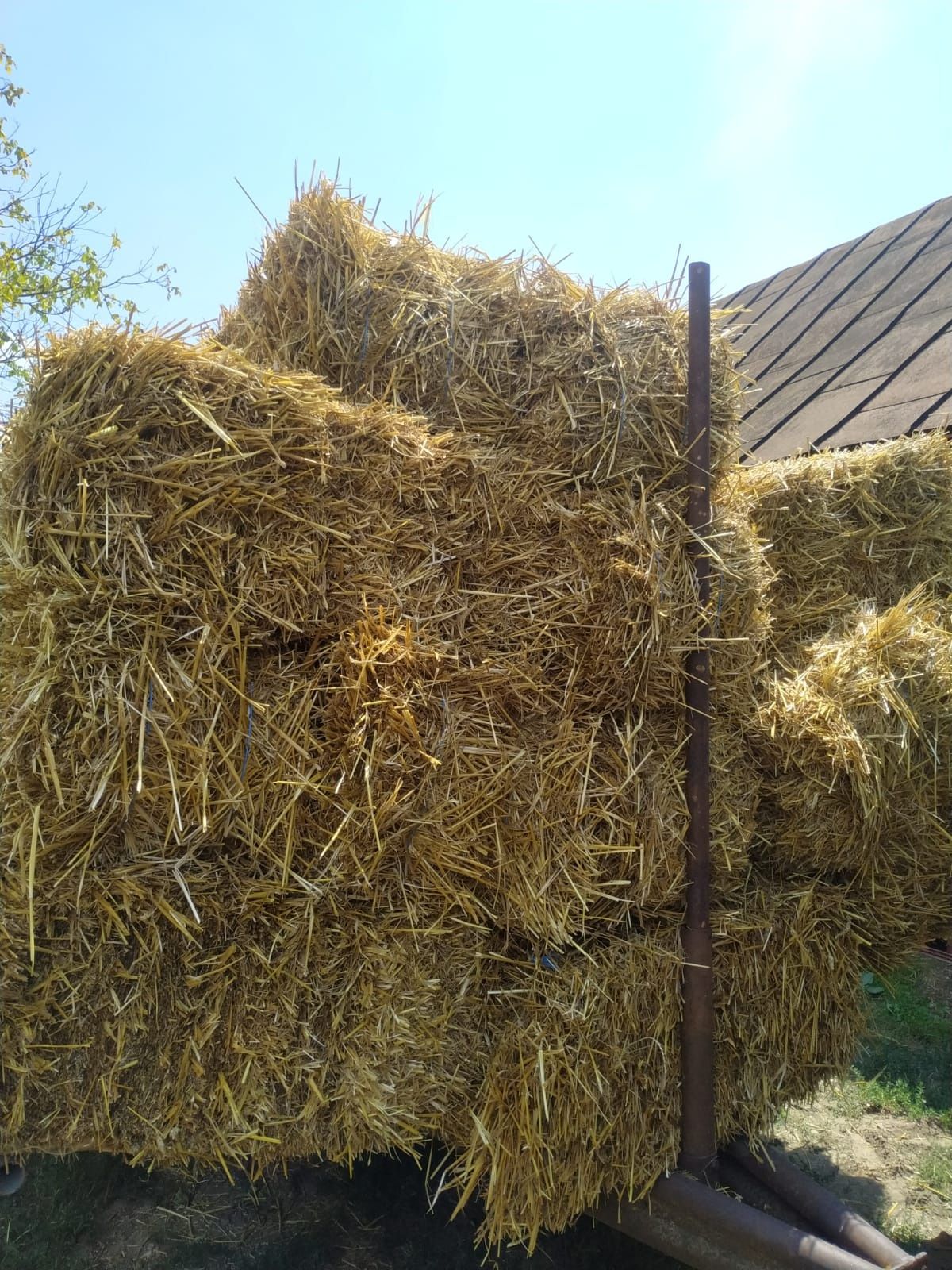 Vând baloți de paie și lucernă