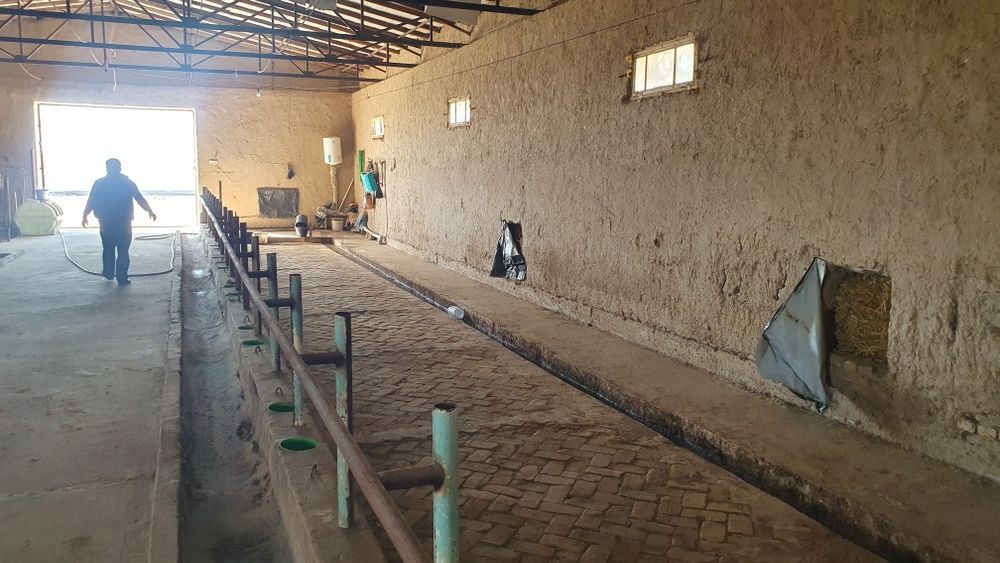 Ферма биноси сотилади.