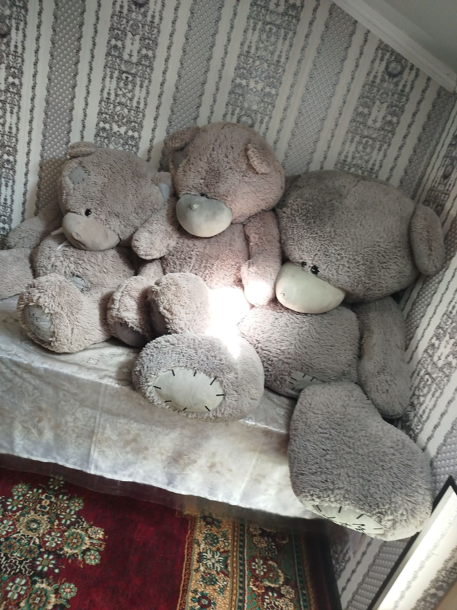 Teddy ayiq igrushkalar