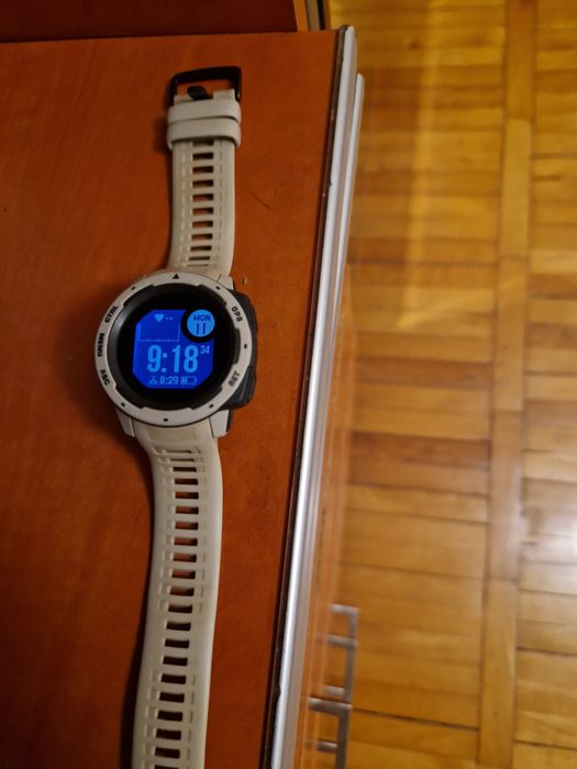 Garmin Instinct, 250 lei