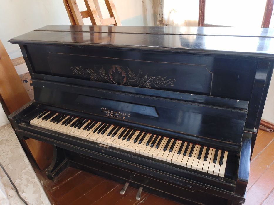 Панино сотлади Украина