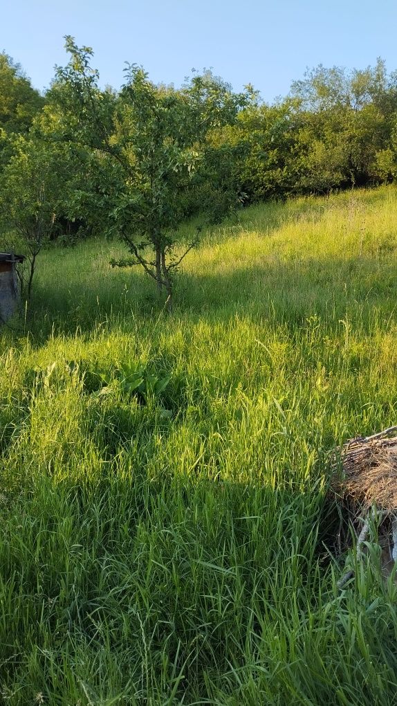 Teren de vânzare intravilan  Salcia judetul Prahova