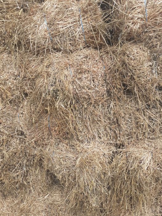 Baloți lucernă pătrați