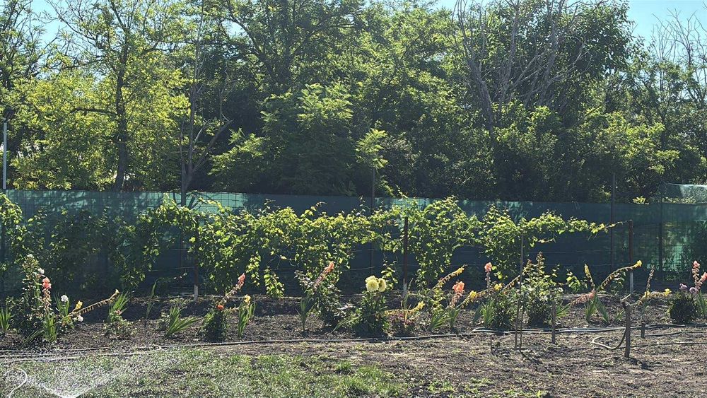 Teren intravilan comuna Gemenele