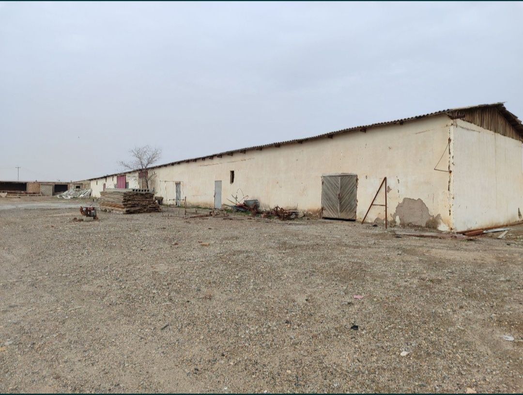 Tadbirkorlik uchun joy sotiladi